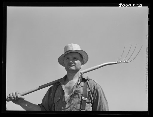 Wheat farmer. Whitman County, Washington. This farmer is not typical of the section in that he uses horses for farm work