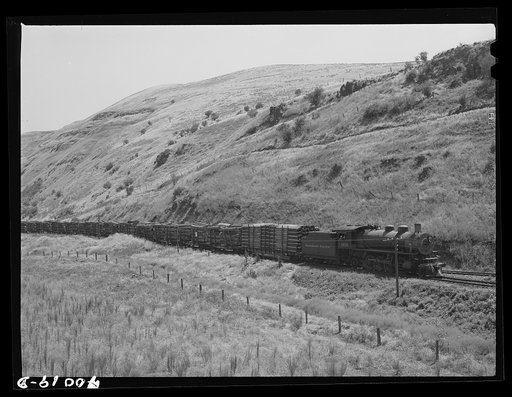 Logging train. Spalding Junction, Idaho