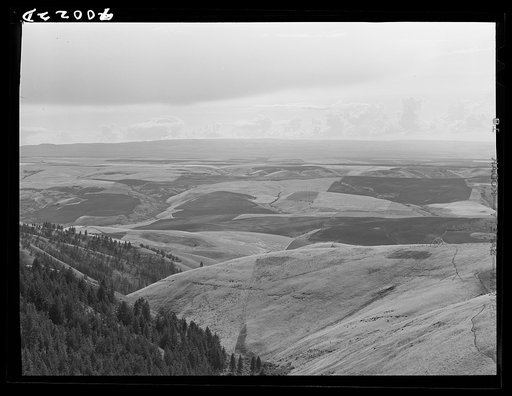 Looking down on wheat fields from Winchester Hill. Nez Perce County, Idaho