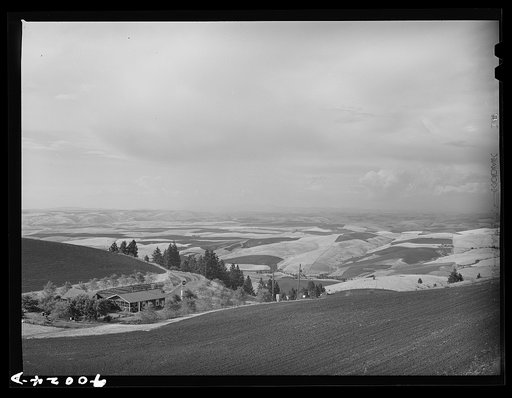 Wheat fields from Winchester Hill. Nez Perce County, Idaho