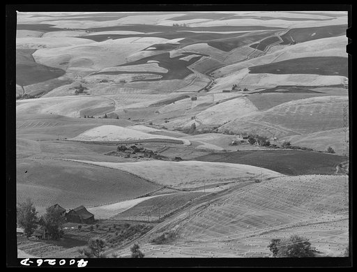 Untitled photo, possibly related to: Wheat land. Darker fields are summer fallow. Nez Perce County, Idaho