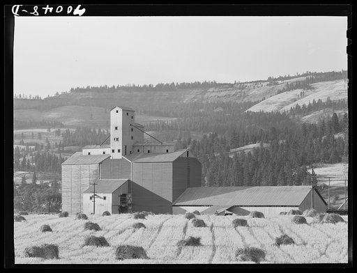Wheat elevator and sack warehouse. Kamiah, Idaho