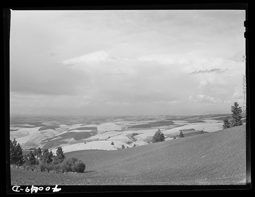 Untitled photo, possibly related to: Wheat fields from Winchester Hill. Nez Perce County, Idaho