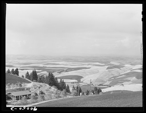 Untitled photo, possibly related to: Wheat fields from Winchester Hill. Nez Perce County, Idaho