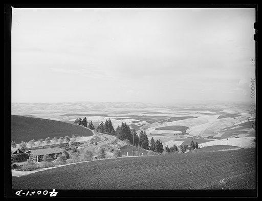 Untitled photo, possibly related to: Wheat fields from Winchester Hill. Nez Perce County, Idaho