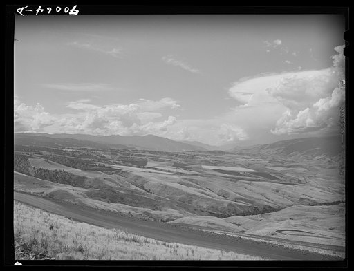 Untitled photo, possibly related to: Wheat lands. Idaho County, Idaho