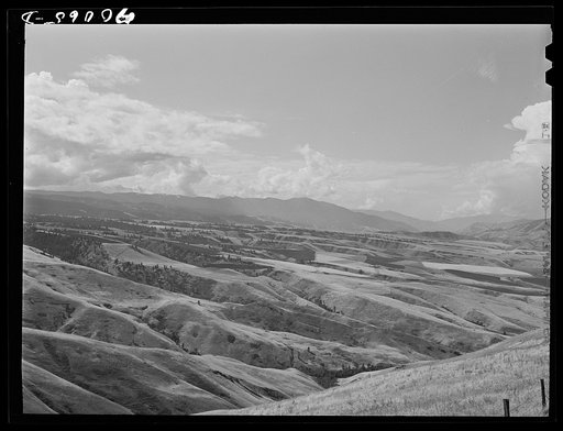 Untitled photo, possibly related to: Wheat lands. Idaho County, Idaho