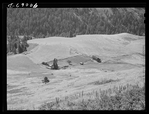 Untitled photo, possibly related to: Farmstead. Idaho County, Idaho