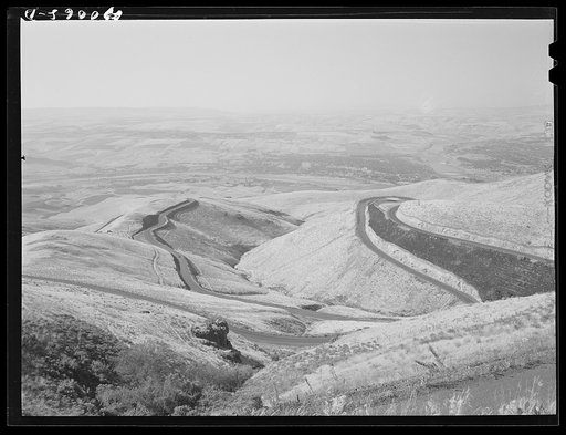 Untitled photo, possibly related to: Lewiston Hill, north of Lewiston, Idaho
