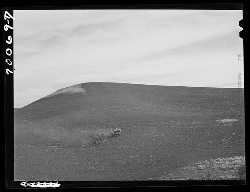 Untitled photo, possibly related to: Harrowing summer fallow (wheat land). Nez Perce County, Idaho