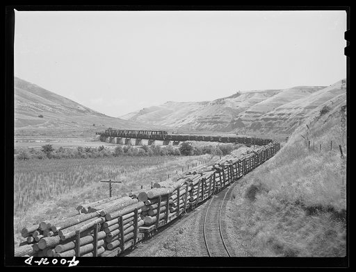 Logging train. Spalding Junction, Idaho