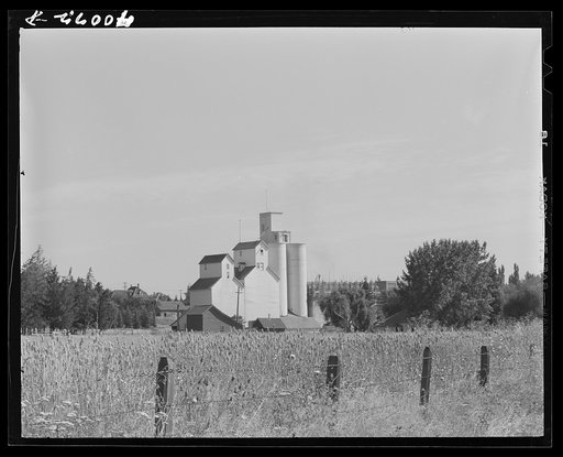 Untitled photo, possibly related to: Wheat elevator. Latah County, Idaho