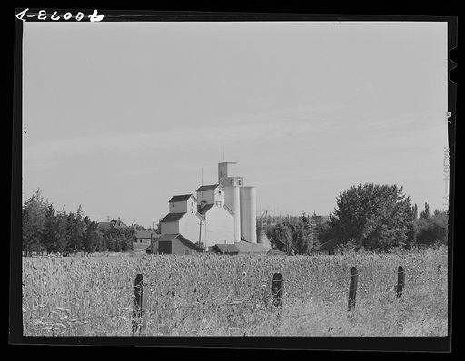 Untitled photo, possibly related to: Wheat elevator. Latah County, Idaho