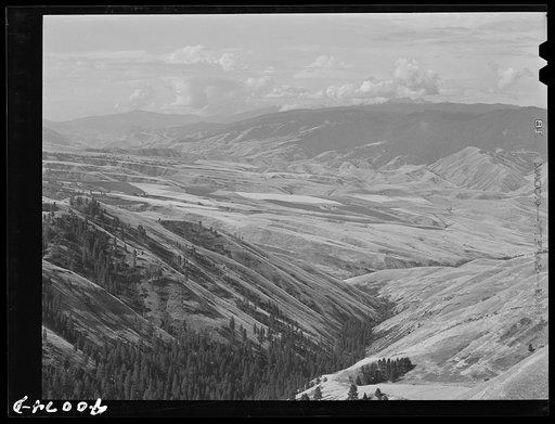 Farming land as seen from Whitebird Hill. Idaho County, Idaho