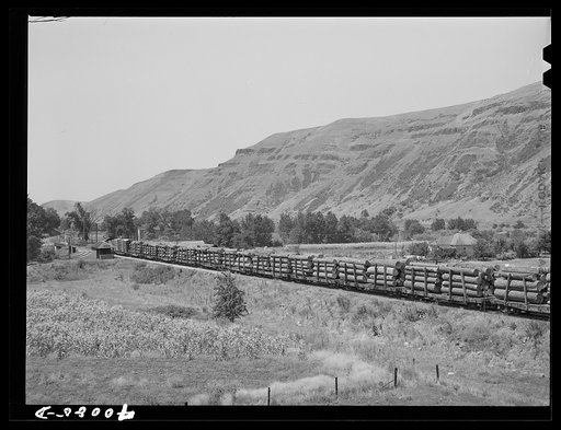Logging train. Spalding Junction, Idaho