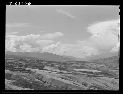 Wheat lands. Idaho County, Idaho