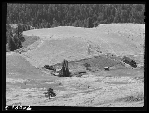 Farmstead. Idaho County, Idaho