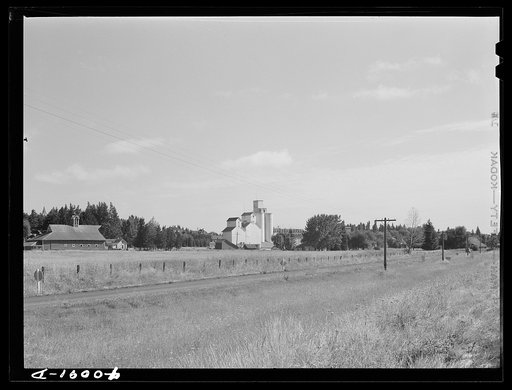 Wheat elevator. Latah County, Idaho