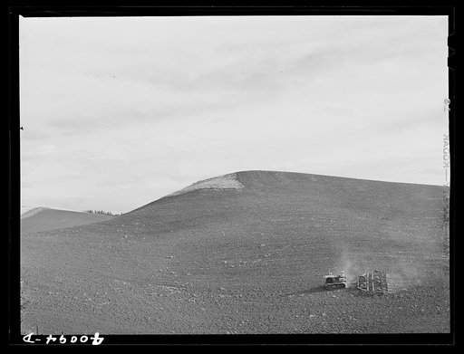 Harrowing summer fallow (wheat land). Nez Perce County, Idaho