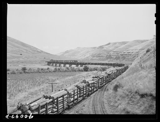 Untitled photo, possibly related to: Logging train. Spalding Junction, Idaho