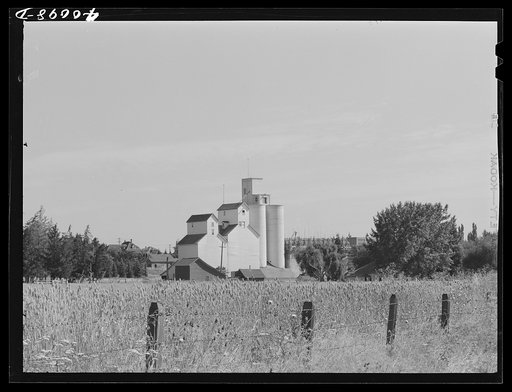 Untitled photo, possibly related to: Wheat elevator. Latah County, Idaho