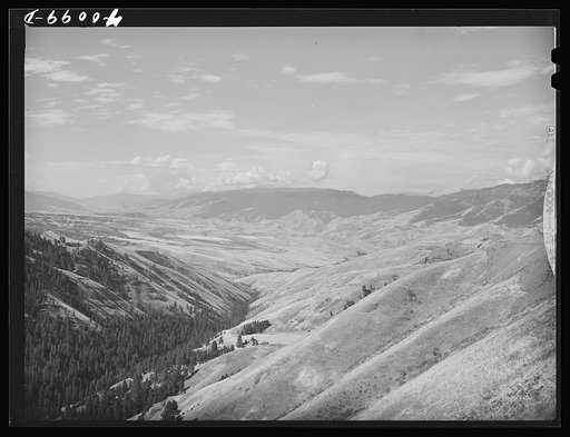 Hill between Whitebird and Grangeville. Idaho County, Idaho