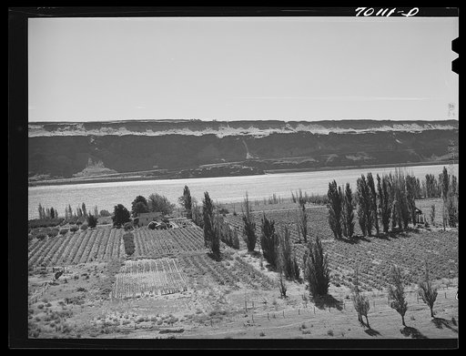 Farm along Columbia River. Klickitat County, Washington