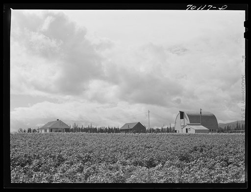 Untitled photo, possibly related to: Farmsteads on Boundary Farms, FSA (Farm Security Administration) project. Boundary County, Idaho