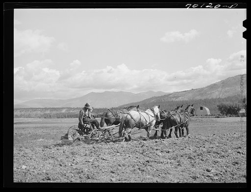 FSA (Farm Security Administration) rehabilitation borrower plowing. Boundary County, Idaho