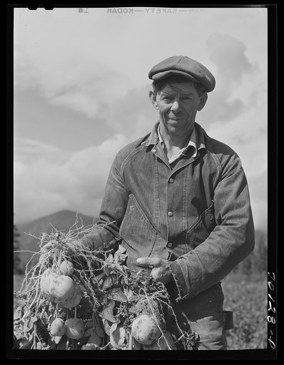 Member of FSA (Farm Security Administation) Boundary Farms. Boundary County, Idaho. He is holding homegrown potatoes