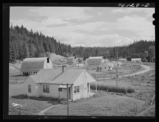 Untitled photo, possibly related to: Farmsteads on Boundary Farms, FSA (Farm Security Administration) project. Boundary County, Idaho