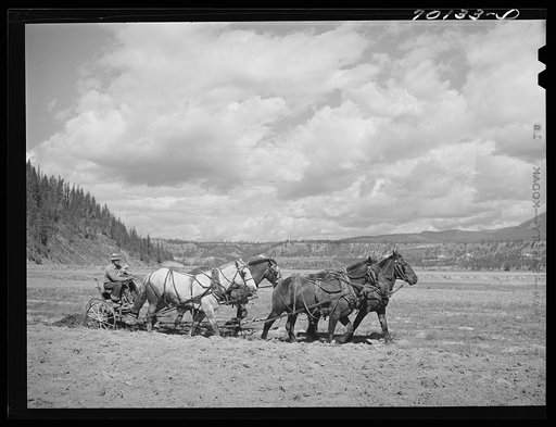 Untitled photo, possibly related to: FSA (Farm Security Administration) rehabilitation borrower plowing. Boundary County, Idaho