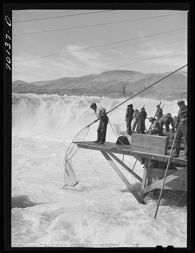 Untitled photo, possibly related to: Indians fishing for salmon at Celilo Falls, Oregon. At the present time Indians have by treaty exclusive right for fishing in Columbia River which is adjacent to their reservation. This right is now being contested in lawsuits