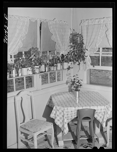 Untitled photo, possibly related to: Kitchen in farm home of member of Boundary Farm, FSA (Farm Security Administration) project. Boundary County, Idaho