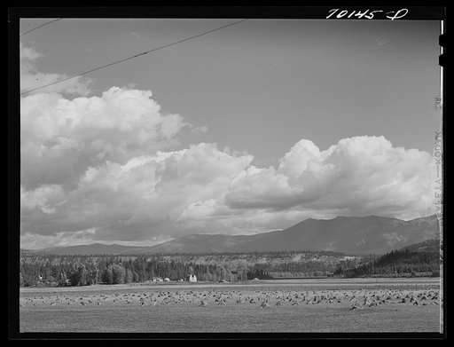 Farmland. Boundary County, Idaho