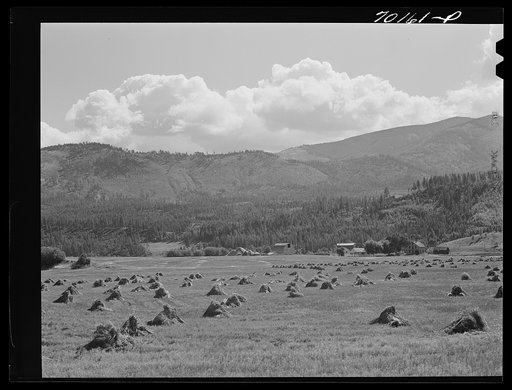 Mountain valley farming land. Boundary County, Idaho