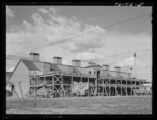 Kiln at Chief Hop Ranch, Yakima County, Washington. This ranch has 700 acres in hops