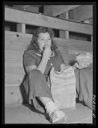 Hop worker--she repicks hops after they have been picked by mechanical picker. Yakima County, Washington