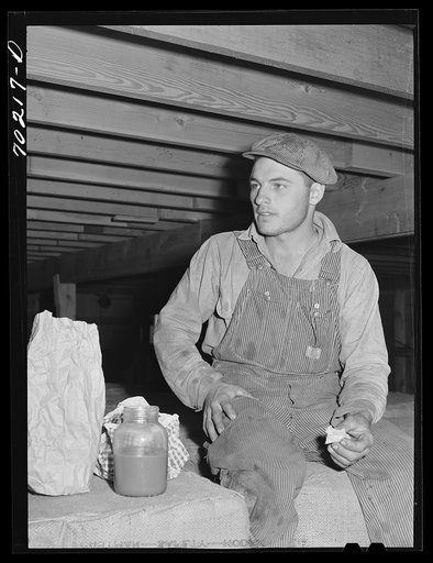 Worker on stationary mechanical hop picker. Yakima County, Washington