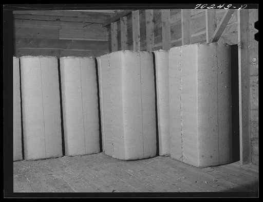 Baled hops. Yakima County, Washington. Each bale weighs two hundred pounds. Price at this time thirty cents per pound. Yield per acre ten bales