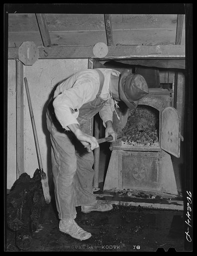Fixing the fire at hop kiln. Yakima County, Washington