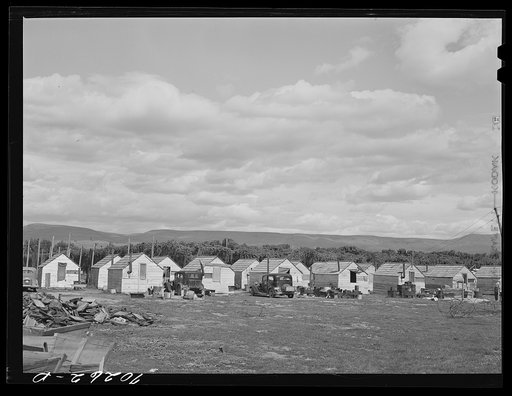 Housing for hop pickers and workers, Yakima County, Washington. Growers of hops provide some type of housing ranging from tents to fairly comfortable cabins; they provide wood, electricity (in some cases), water, sanitary facilities, and in some cases potatoes