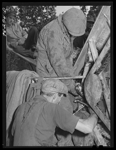 Untitled photo, possibly related to: Portable-type mechanical hop picker. Yakima Chief Hop Ranch, Yakima County, Washington