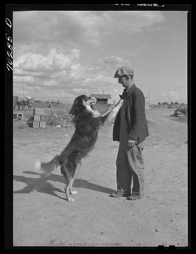Farmer and his dog. Yakima County, Washington