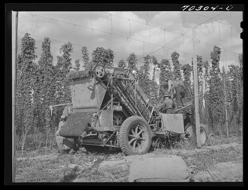 Portable-type mechnical hop picker. Yakima County, Washington