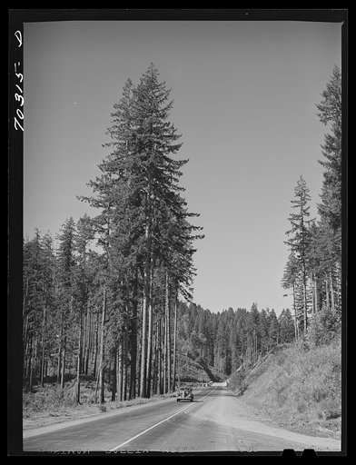Untitled photo, possibly related to: Clatsop County, Oregon