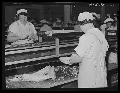 Cleaning cooked tuna for canning. Columbia River Packing Association. Astoria, Oregon