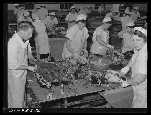 Skinning cooked tuna before canning. Columbia River Packing Association, Astoria, Oregon