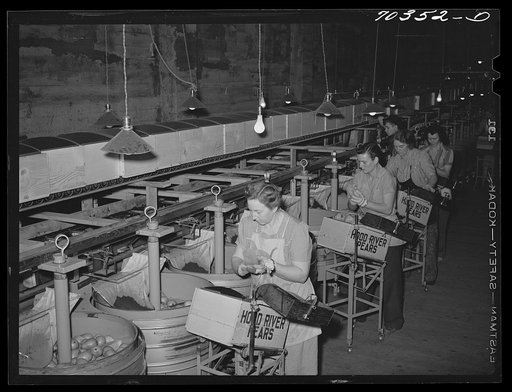 Untitled photo, possibly related to: Grading, wrapping and packing pears at Hood River, Oregon. 6,500,000 boxes of freshly packed fruit are shipped from Hood River annually