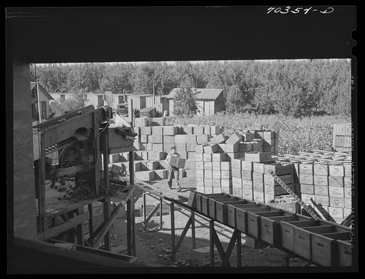 Crates for packing pears in front of pear packing establishment. Hood River, Oregon